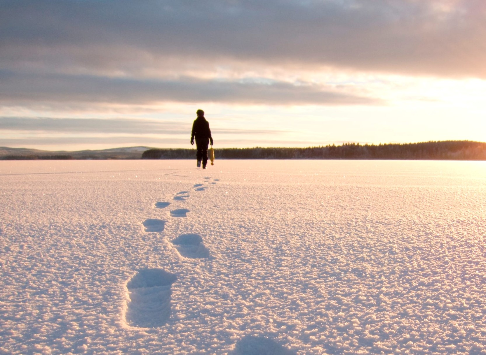Luleå, Aurora Camp & Treehotel